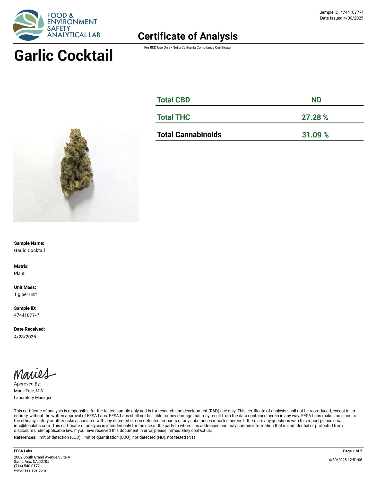Garlic Cocktail - 31% THCA