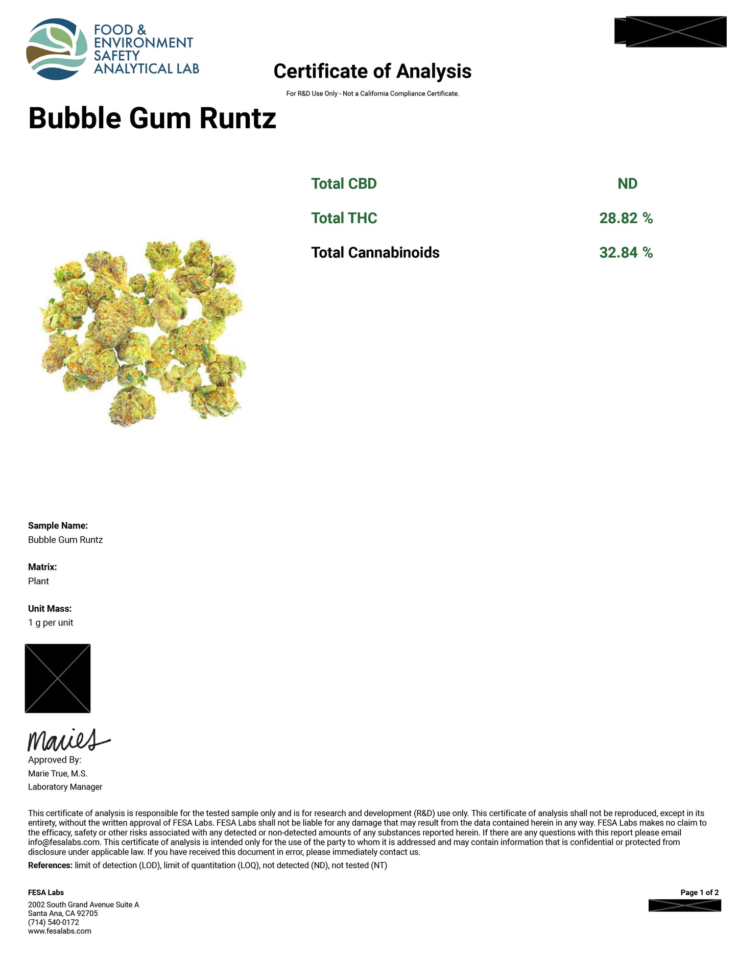 Bubble Gum Runtz - 32.84% THCA