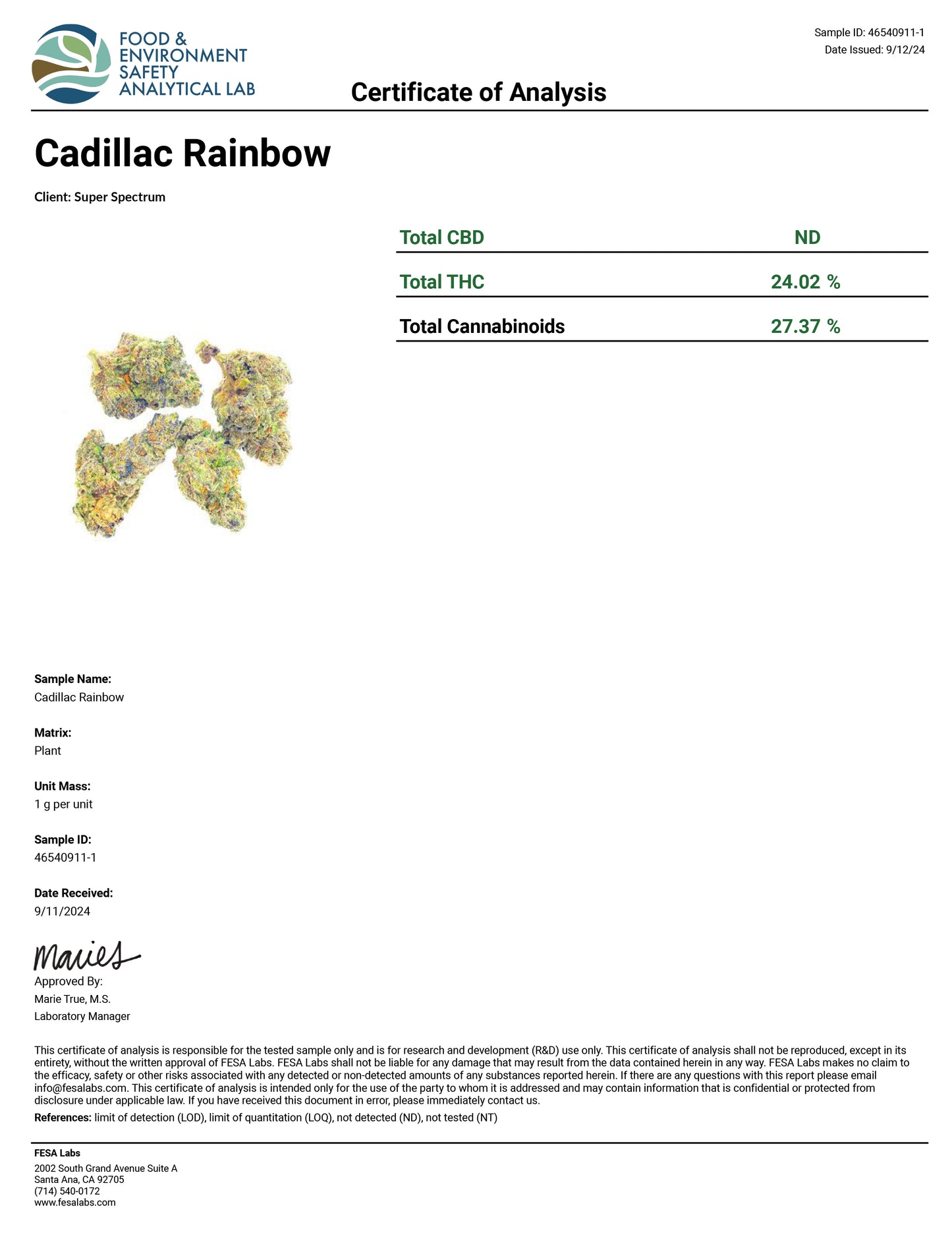 THC-A Flower - Cadillac Rainbow (Indoor)