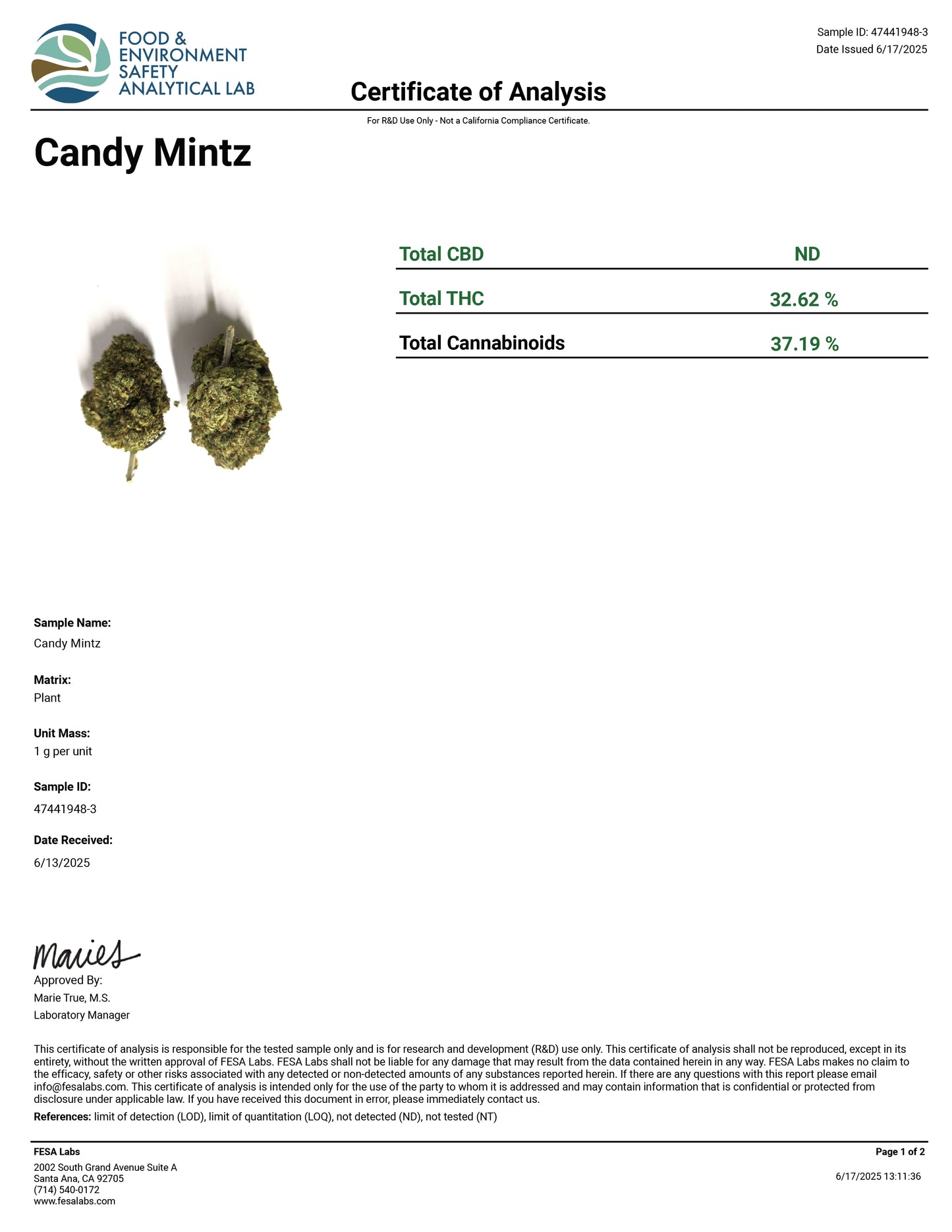 Candy Mintz - 37.19% THCA