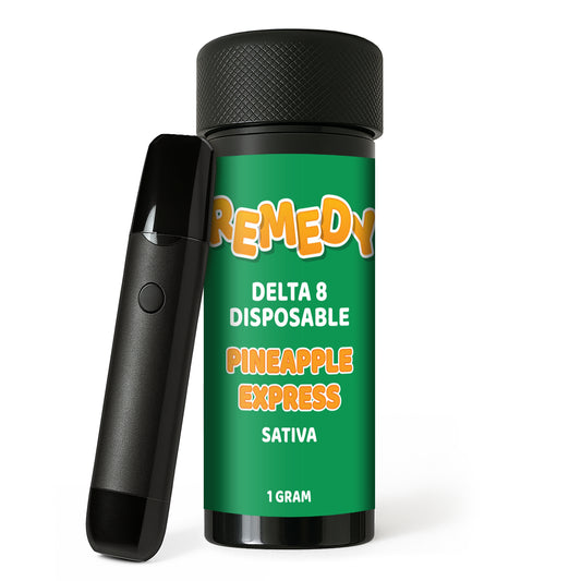 Pineapple Express Delta 8 1g Disposable