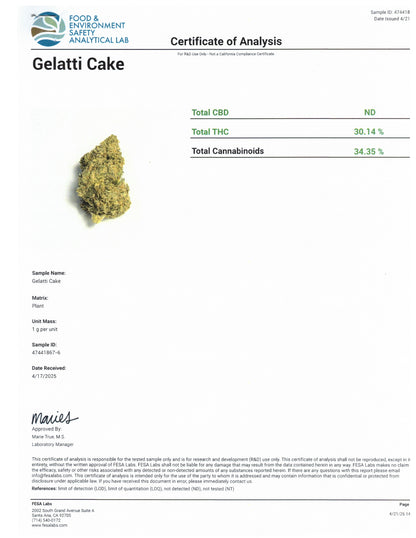 Gelatti Cake - 31.47% THCA