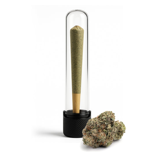 Platinum Kush THCa 1.5g PreRoll Single