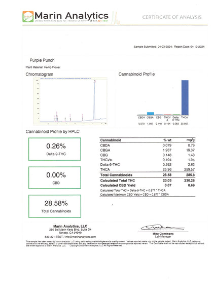 Purple Punch THCa 34%