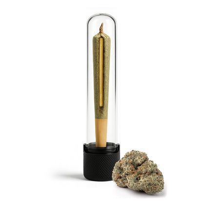 Live Resin THCa Infused Hash Hole PreRoll 2g - Circle City Diesel