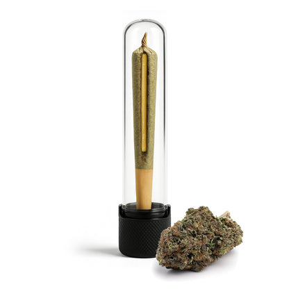 Live Resin THCa Infused Hash Hole PreRoll 2g - Gelato 41