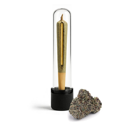 Live Resin THCa Infused Hash Hole PreRoll 2g - Melted Sherbert