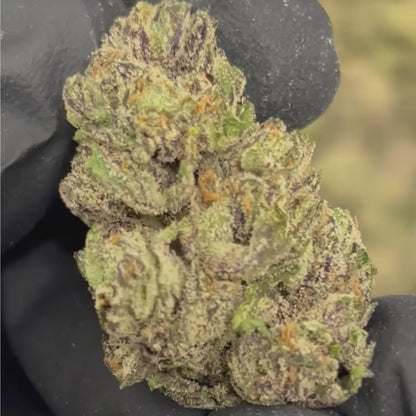 Peanut Butter Jealousy THCa 25.9%