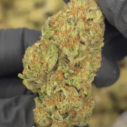 Red Velvet Runtz - 28.66% THCA