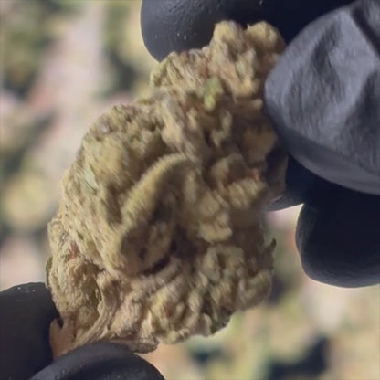 Insane Pound Cake THCa 33%