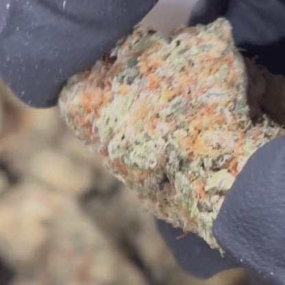 Zushi - 31.2% THCA